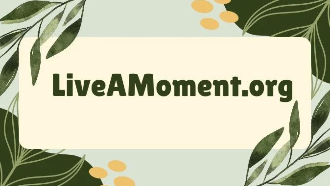 about liveamoment.org blog