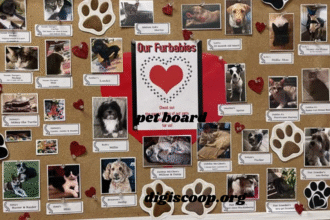 pet board