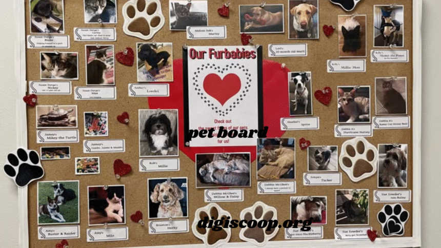 pet board