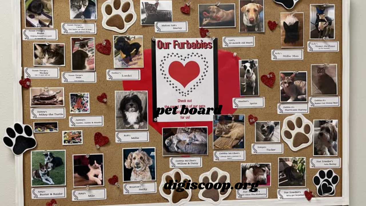 pet board