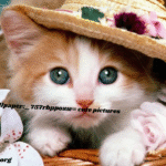 wallpaper:_757rbppozw= cute pictures