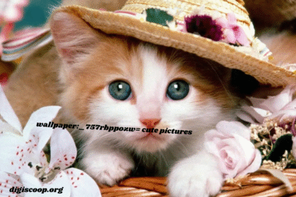 wallpaper:_757rbppozw= cute pictures