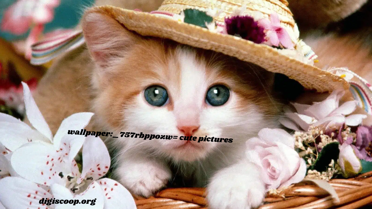 wallpaper:_757rbppozw= cute pictures