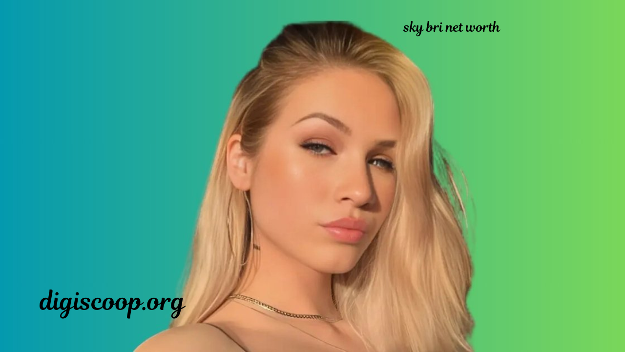 sky bri net worth