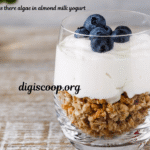 is there algae in almond milk yogurt