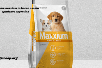Dog food packaging with branding