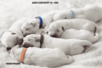 baby:czziykpdt-q= dog